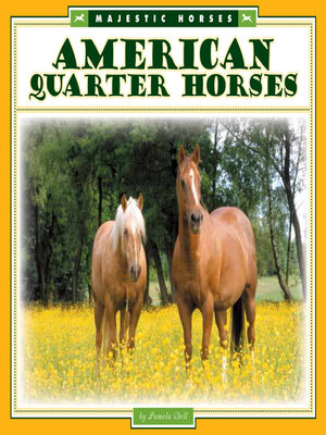 cover image of American Quarter Horses